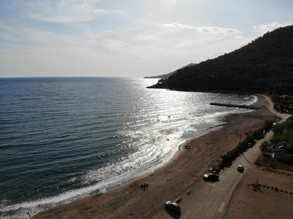 Hurmalik Apart Evleri-Very Close To The Sea Large Garden Bungalow With Barbecue And Swing Karaoz 外观 照片