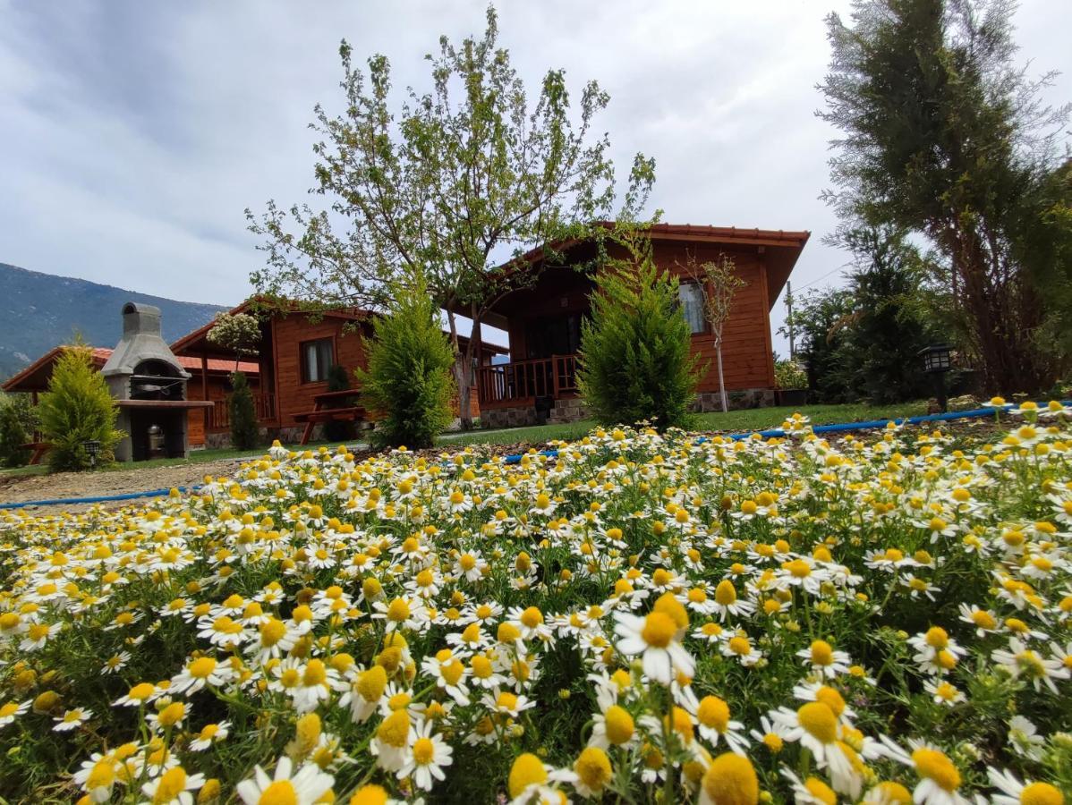 Hurmalik Apart Evleri-Very Close To The Sea Large Garden Bungalow With Barbecue And Swing Karaoz 外观 照片